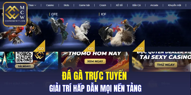 Đá gà trực tuyến giải trí hấp dẫn mọi nền tảng