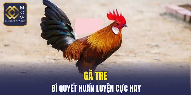 Gà Tre